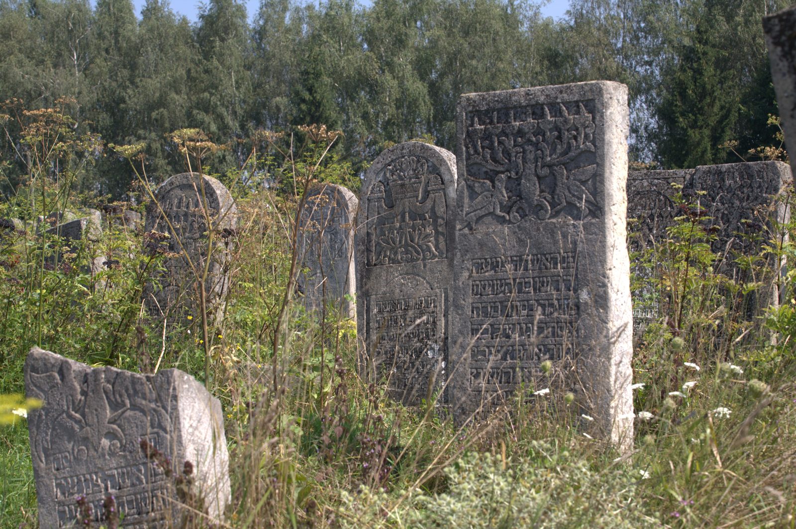 Bet-Hayyim — Sadhora 064
