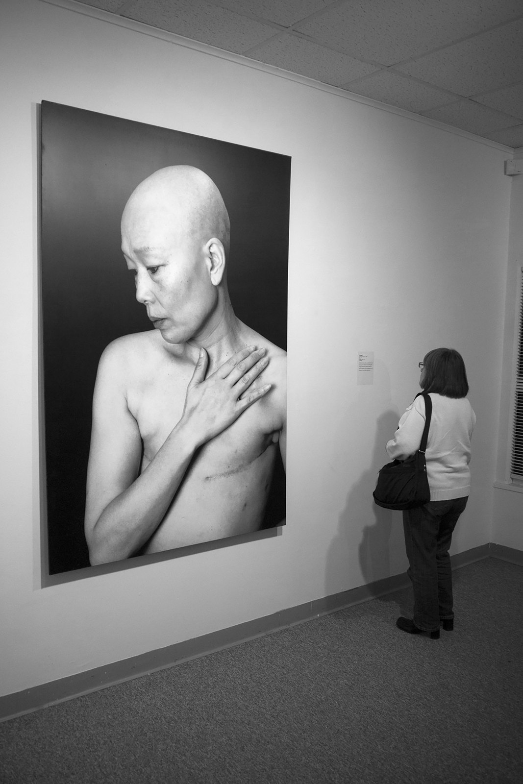 Changed Landscapes — Breakingtradition Opening