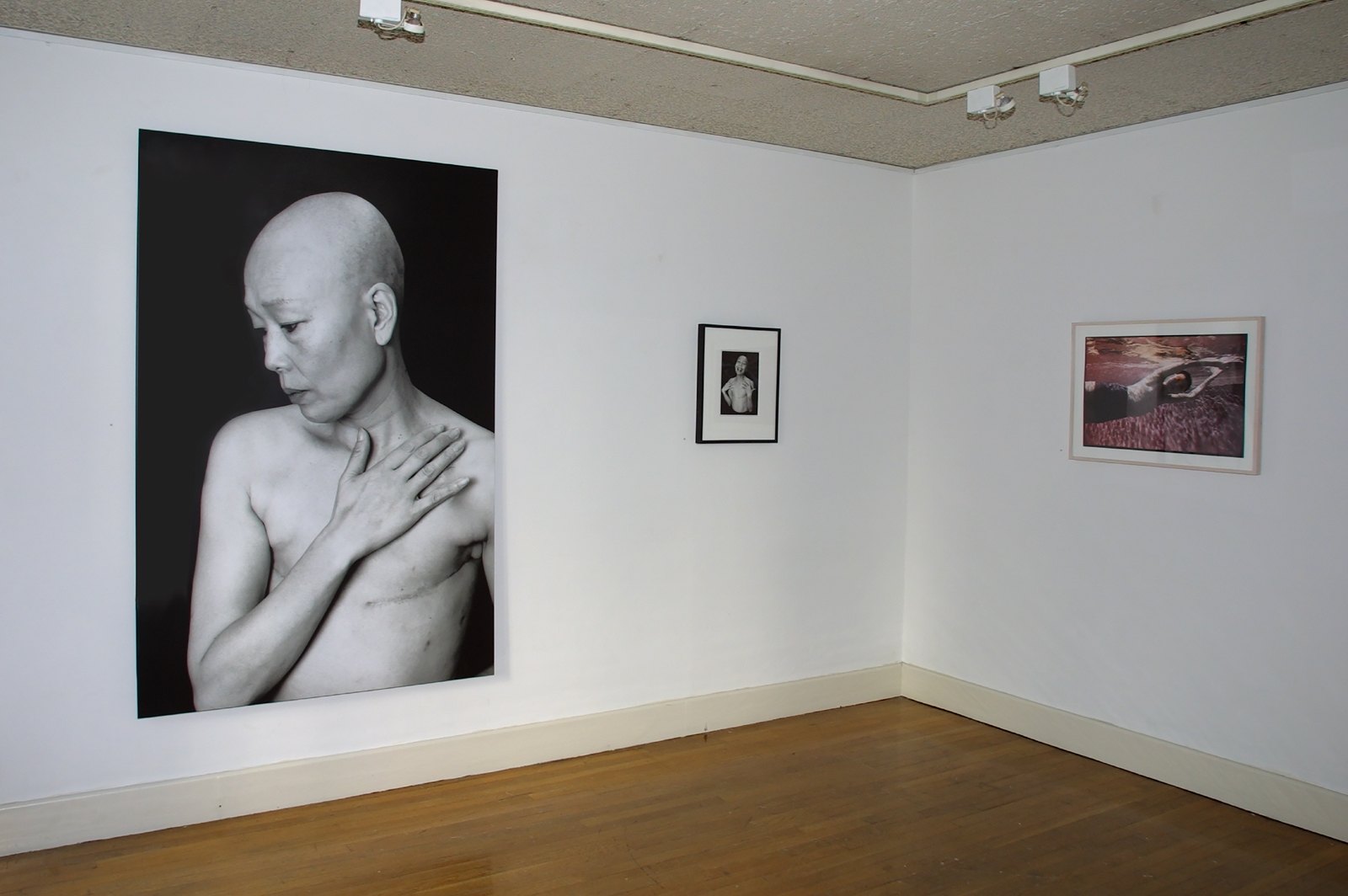 Changed Landscapes — Changed Landscares Elsa Mott Ives Gallery 1998