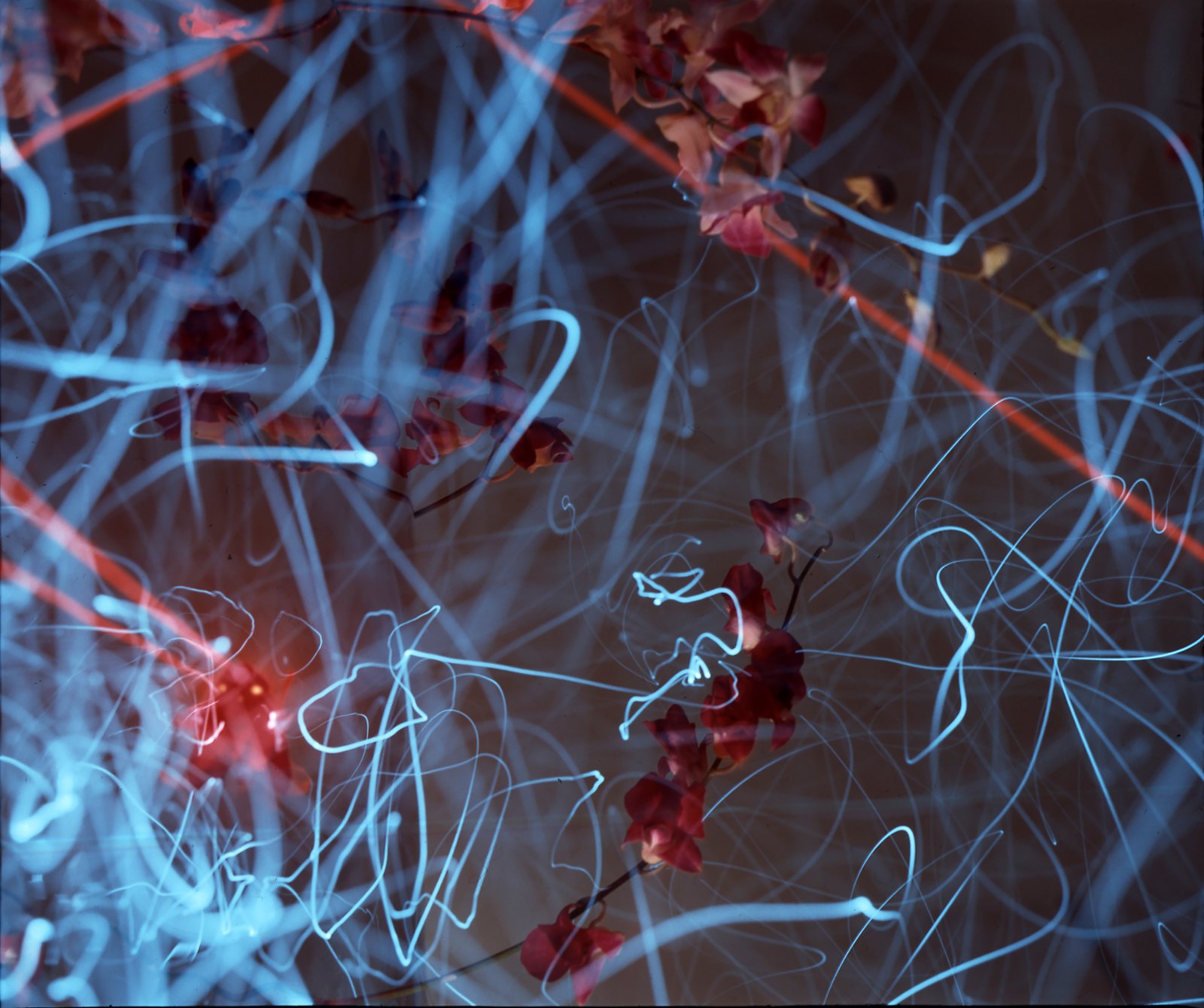 Light Drawings — Fiber