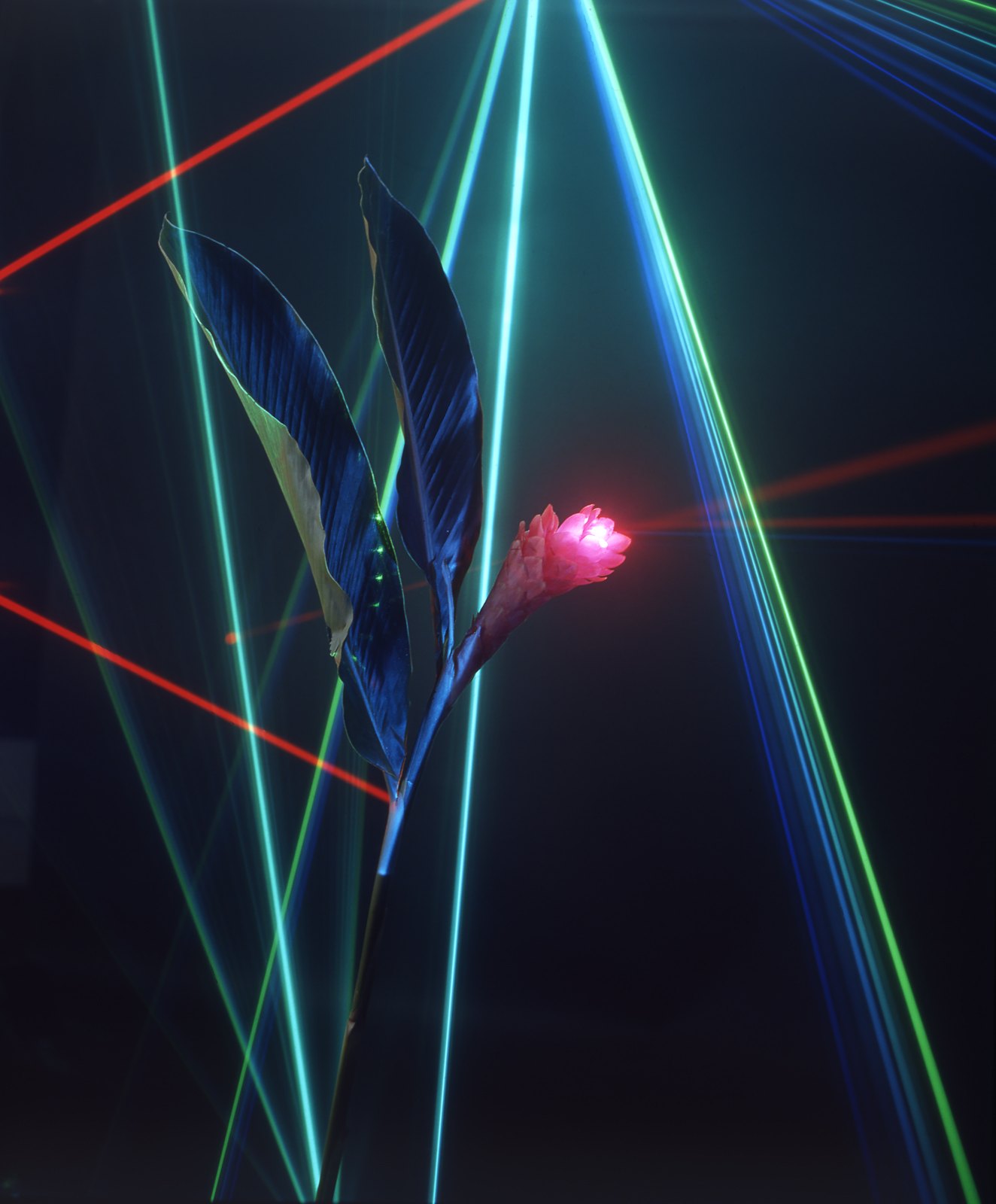Light Drawings — Laser